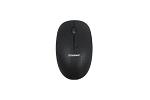 DT MOUSE 2.4G WIRELESS