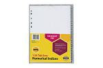 MBG INDICES GREY PP A4 1-54TAB