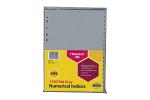 MBG INDICES GRY PP A4 1-100TAB