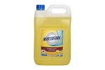 NF LEMN DISINFECT HOSP GRADE5L