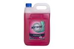 NF BORONIA DISINFECTANT 5L