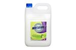 NF LIQUID H/WASH TEA TREE 5L