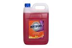 NF ANTIBACT FOAM H/WASH ORG 5L