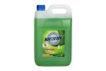 GECA DISHWASHING LIQUID 5L