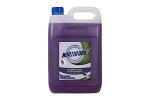 GECA DEO DISINFECT RNFOREST 5L